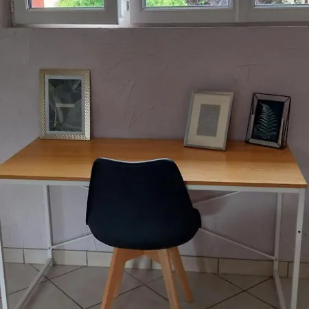 Herbes De Pampa 2 * Brassac-les-Mines